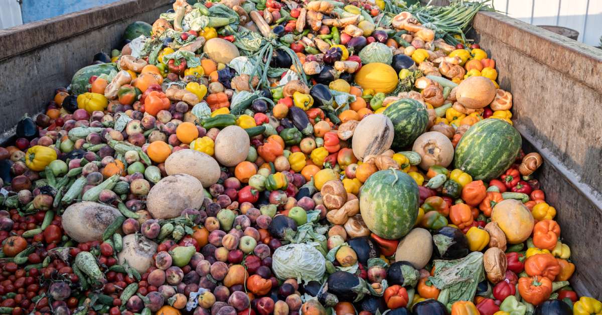 A large collection of organic food waste is in a rubbish pile. These fruits and vegetables aren't fit for human consumption.