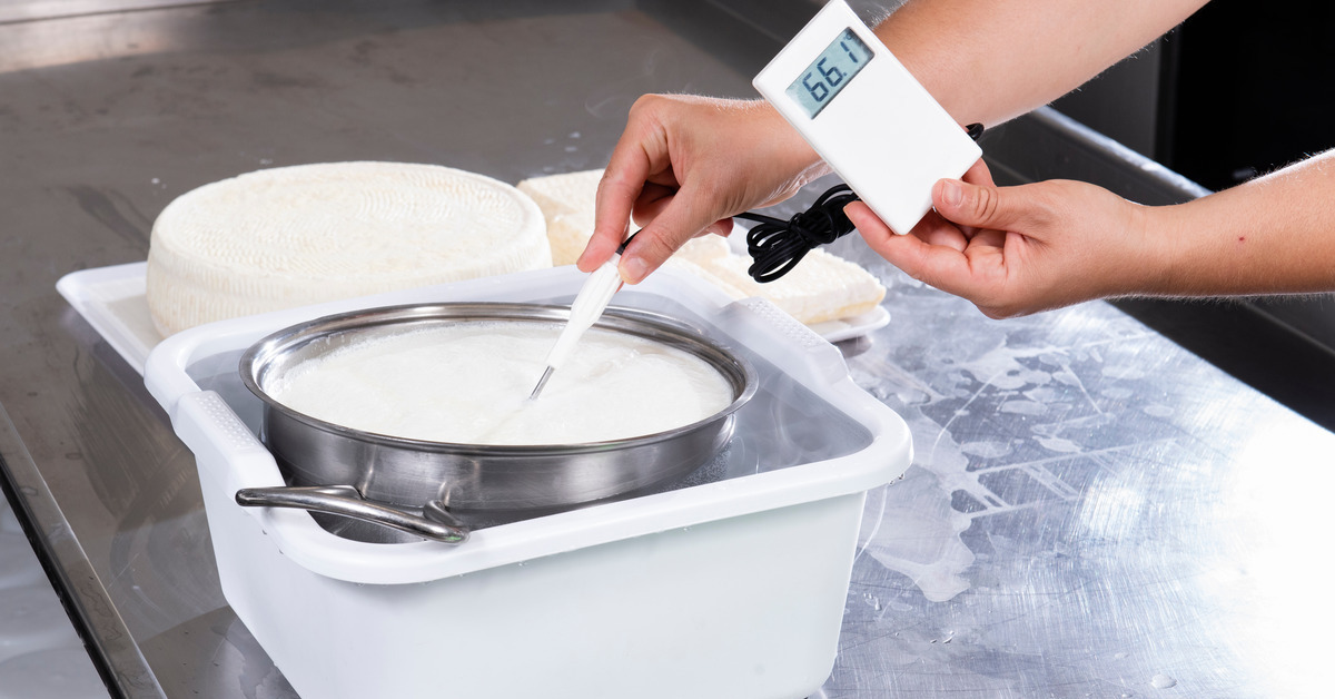 A person measures the temperature of milk with a thermometer. The meter reads 66.1. A block of cheese is also on the table.