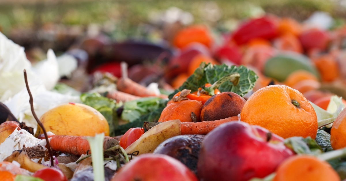A large heap of discarded food, including apples, oranges, carrots, lettuce, and other fruits and vegetables.