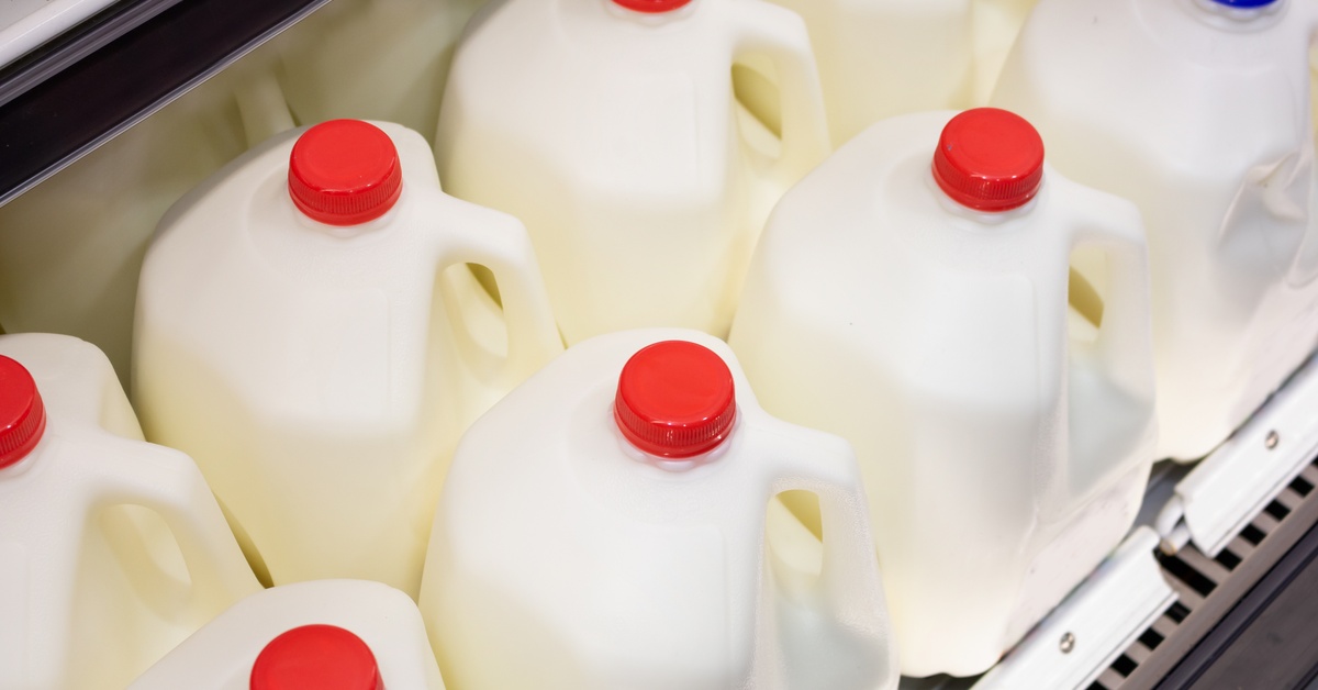 Several gallons of milk, some capped in red and others in blue, arranged side by side in a metal cooler.